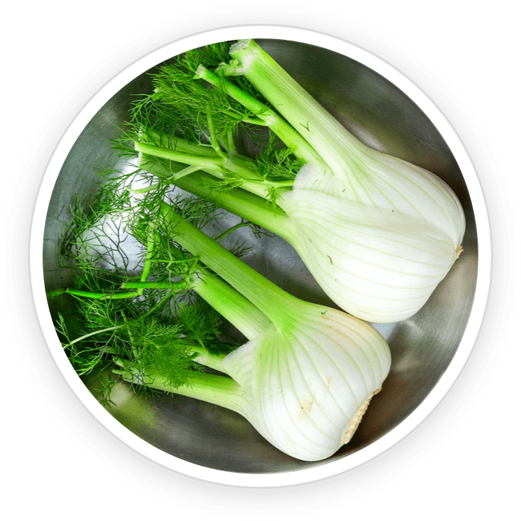 Fennel PrimeBiome's Ingredient