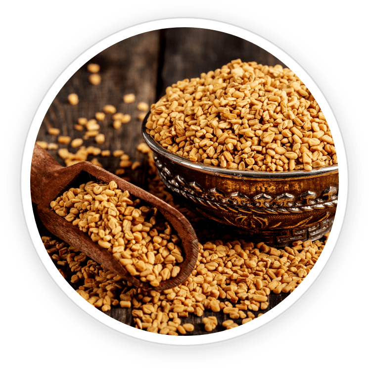 Fenugreek PrimeBiome's Ingredient
