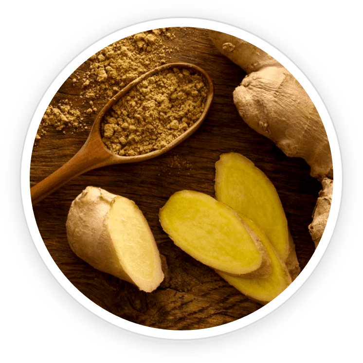Organic Ceylon Ginger PrimeBiome's Ingredient